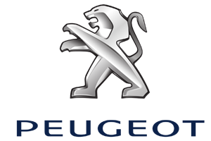 verontreiniging gebrek Generator Peugeot Onderdelen - Carparts GroningenCarparts Groningen